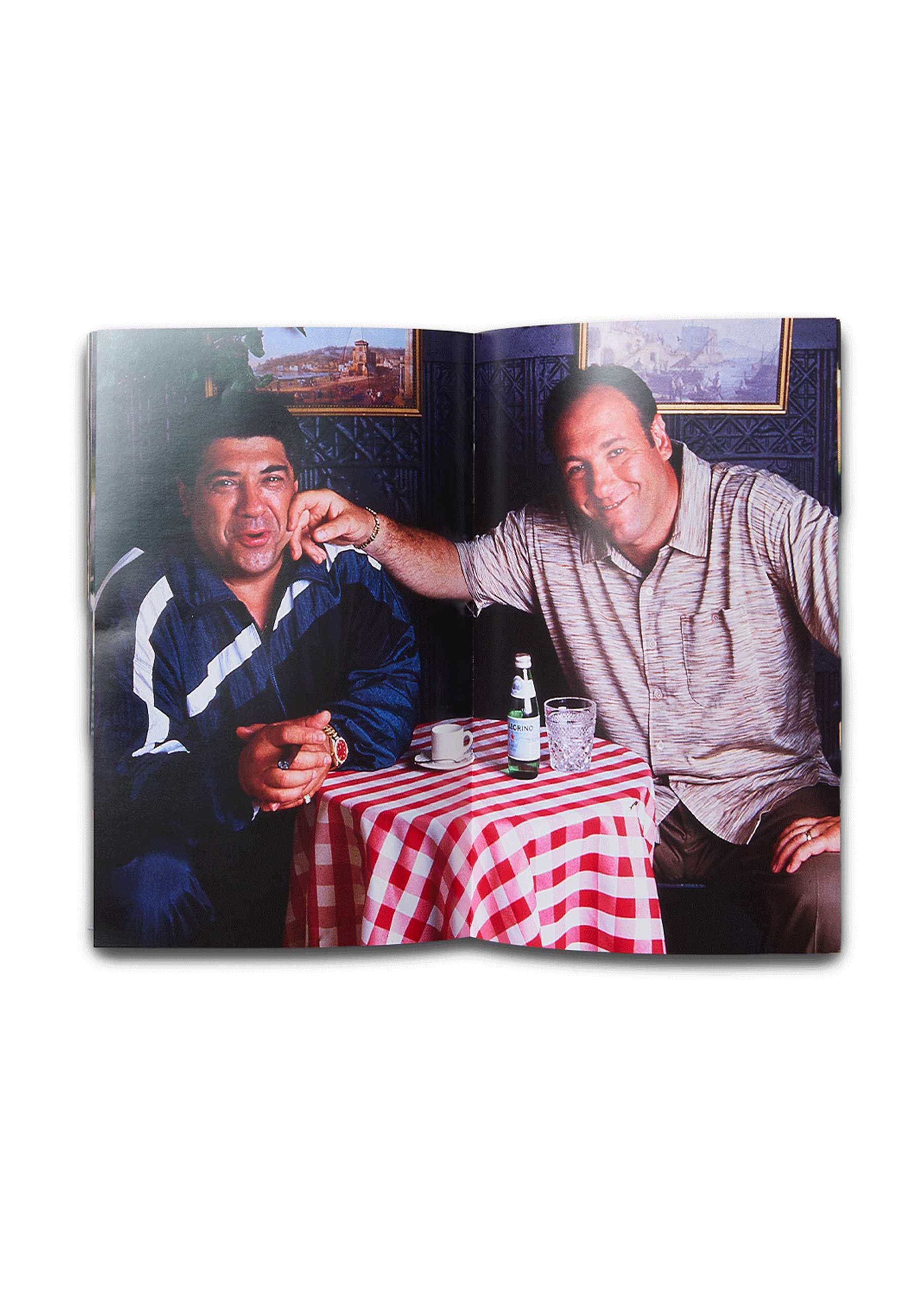 Living Proof 'The Sopranos: This Thing Of Ours' Book - Image 6